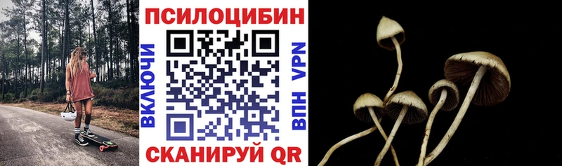 OMG маркетплейс  Арск  Псилоцибиновые грибы Psilocybe 